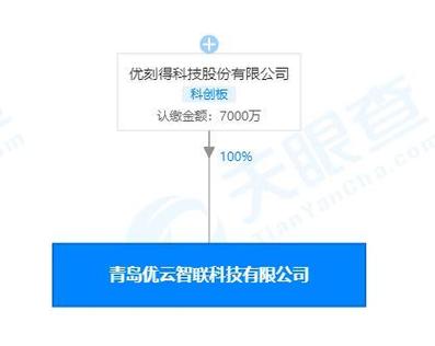 注册资本7000万,为吴珣玉,公司经营范围包括计算机系统服务